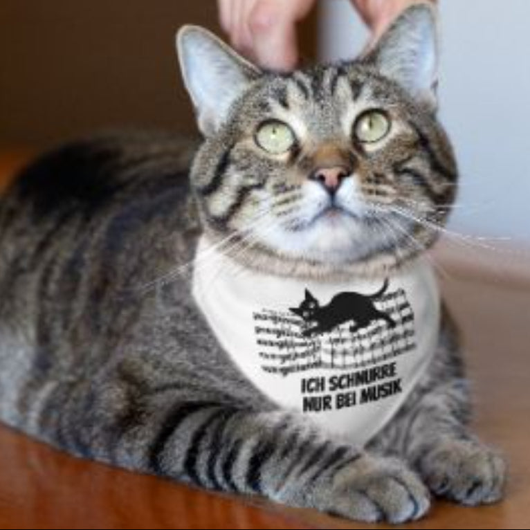 katze-bandana-musikmotiv-ich-schnurre-nur-bei-musik.jpg
