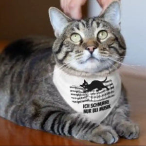 Katze mit Musik‑Bandana „Ich schnurre nur bei Musik“