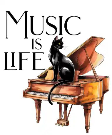 files/katze_klavier_music_life_webp.webp